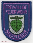 FF Oberharz am Brocken - Hasselfelde