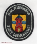 FF Delmenhorst