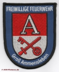 FF Niedere Börde - Groß Ammensleben